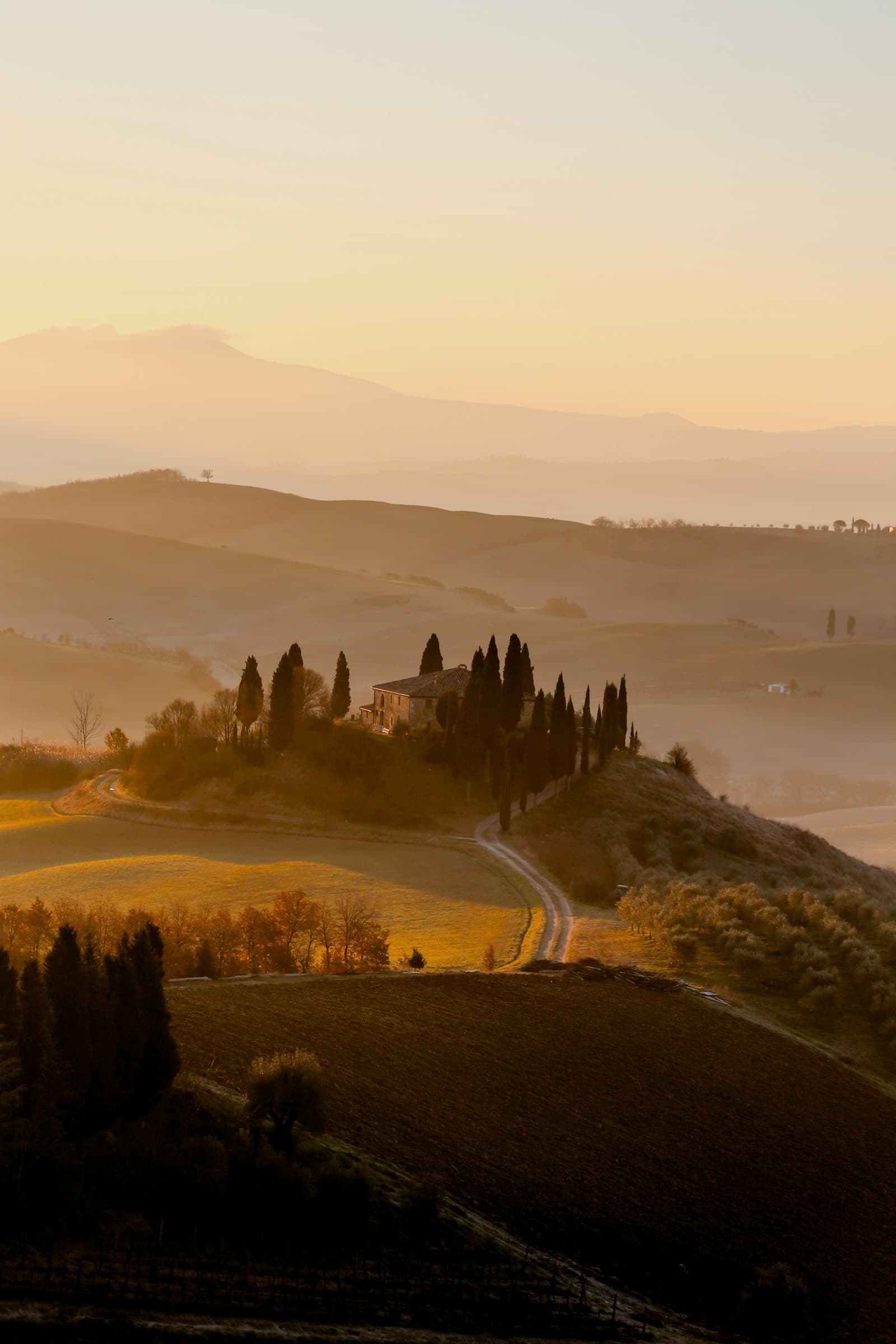 A white road through the Val d’Orcia at dusk, lined with cypress